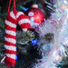 candy cane crochet by aecasey