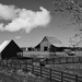 12-5-20 Culloden Ga Farm by clayt