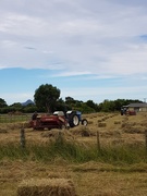 6th Dec 2020 - Hay done and dusted