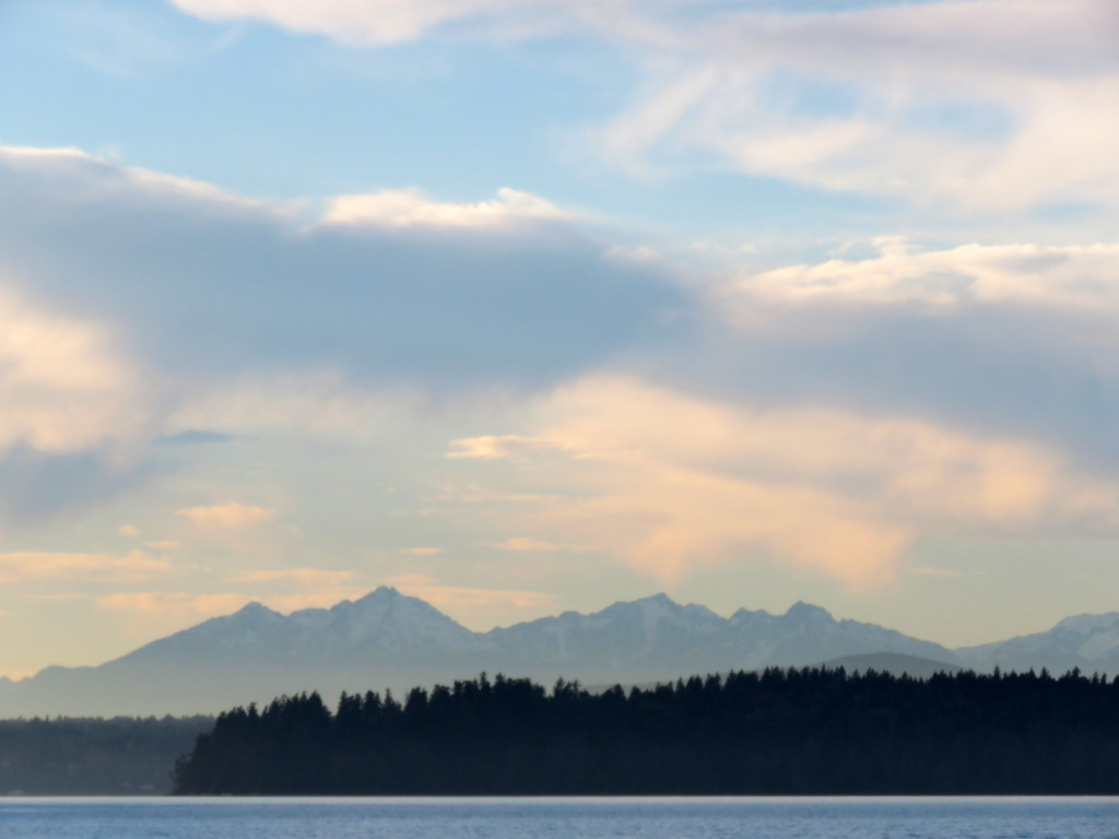 Layers of Beauty by seattlite