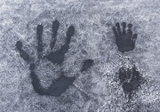 1st Dec 2020 - Handprints in the Frost