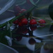 Red Berries............ by ziggy77