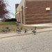 1206geese by diane5812