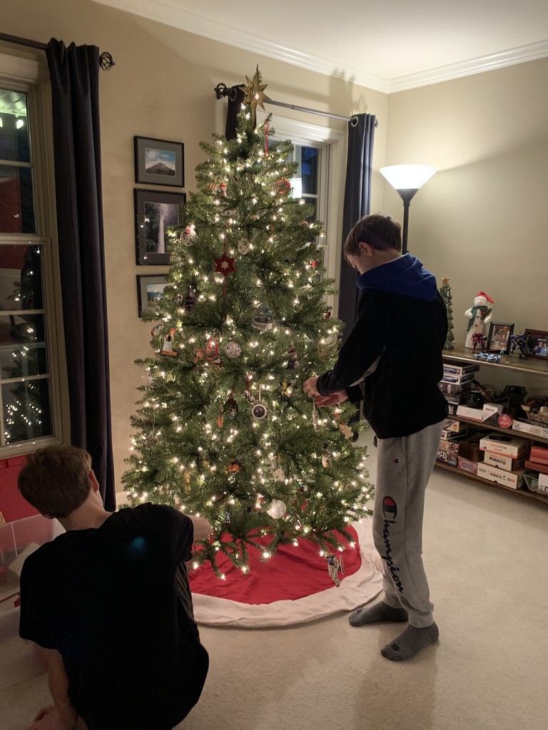 Hanging the ornaments by kimhearn