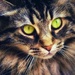 The Eyes of the Cat by gardenfolk