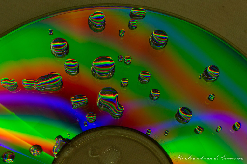 Droplets on a CD by ingrid01