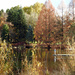 Fishing At Green Lake by seattlite