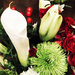 Christmas Flowers by yogiw