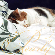 8th Dec 2020 - Sleep Pearly Girl 