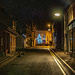 Village Christmas Tree by frequentframes