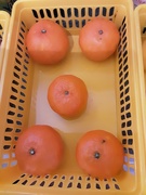 7th Dec 2020 - Clementine oranges