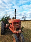 7th Dec 2020 - tree tractor