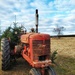 tree tractor by edorreandresen
