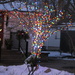 An outdoor tree with blinking lights by bruni