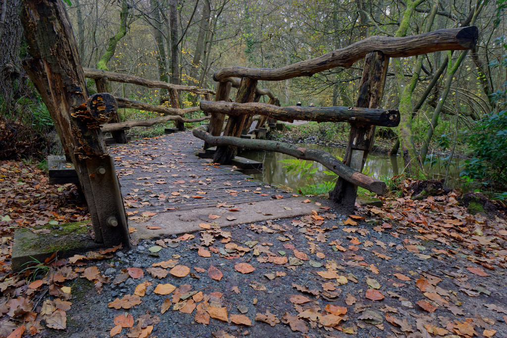 1208 - Bridge to the woods by bob65