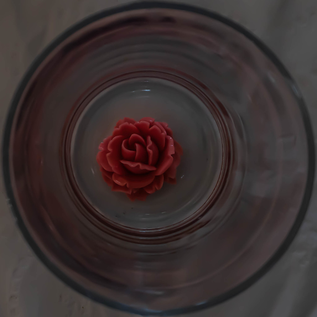 Rose in a glass in a square by randystreat