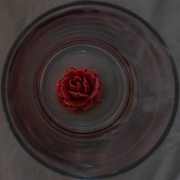 8th Dec 2020 - Rose in a glass in a square