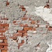 Brick Wall by judyc57