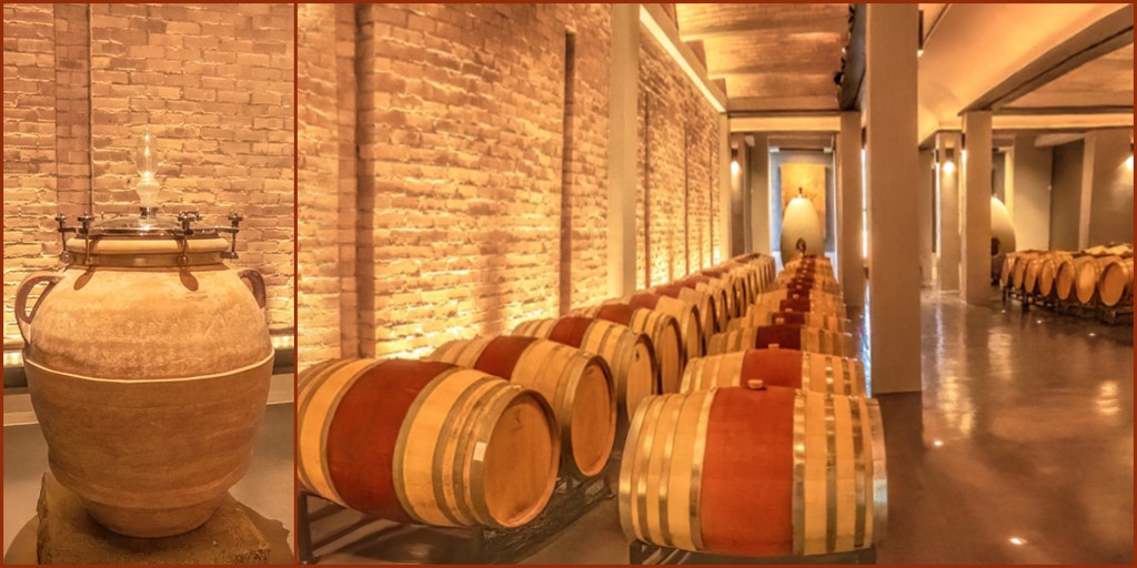 A peek into the wine cellar by ludwigsdiana