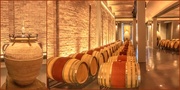 9th Dec 2020 - A peek into the wine cellar