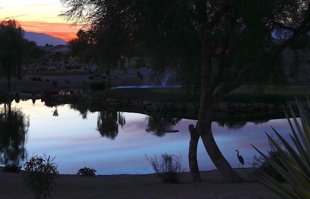 Lone Heron at Sunset by redy4et