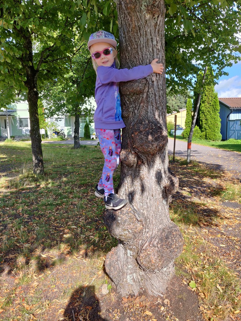 Mimi climbing a tree by annelis