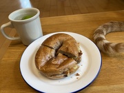 9th Dec 2020 - bagel with a tail....