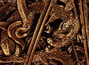 8th Oct 2010 - Oriental Dragon