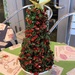 2020-12-09 Italian Christmas Tree by cityhillsandsea