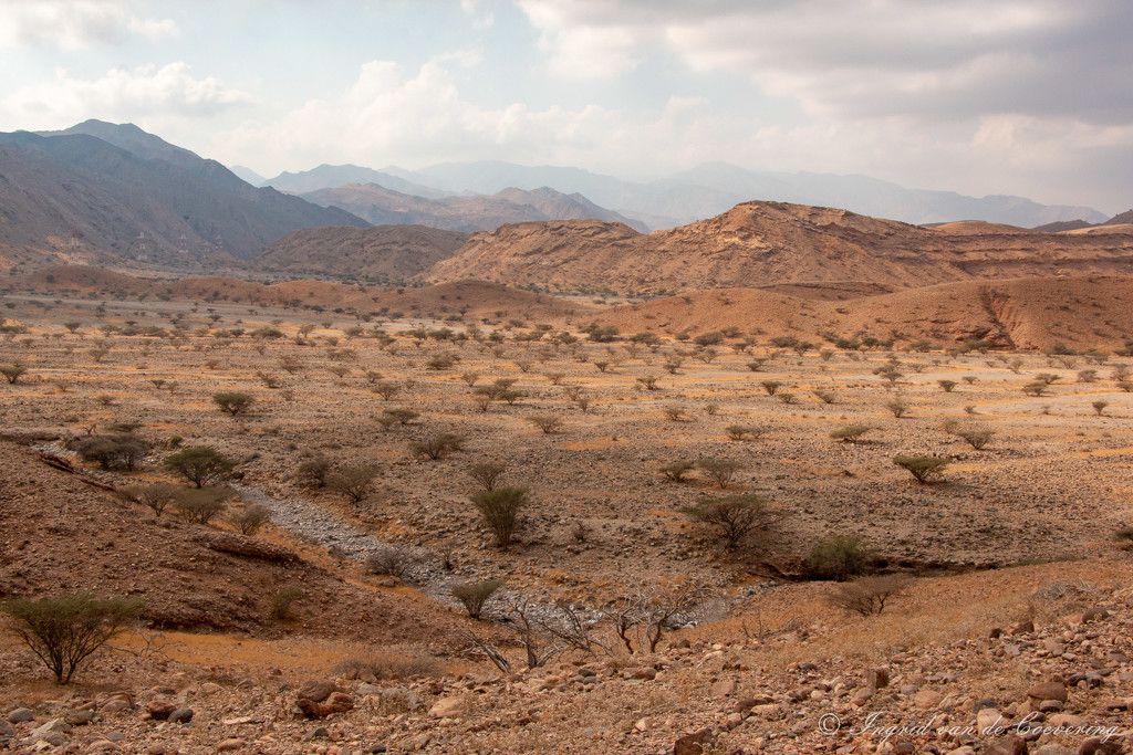 Beautiful Oman...  by ingrid01