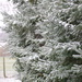 early season snowfall .2 incles by stillmoments33