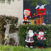 9th Dec 2020 - Holiday Decorations