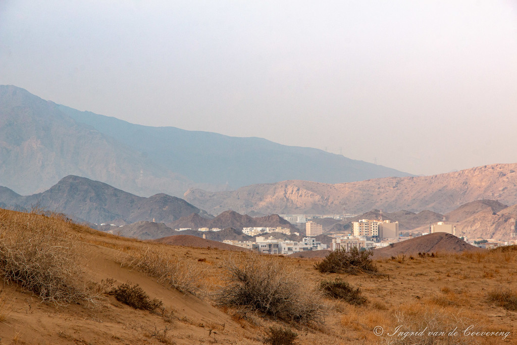 Beautiful Oman #2 by ingrid01