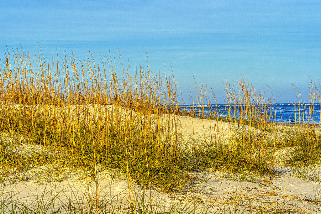 Sand Dunes by k9photo