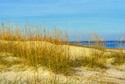 9th Dec 2020 - Sand Dunes