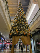 10th Dec 2020 - Christmas Tree