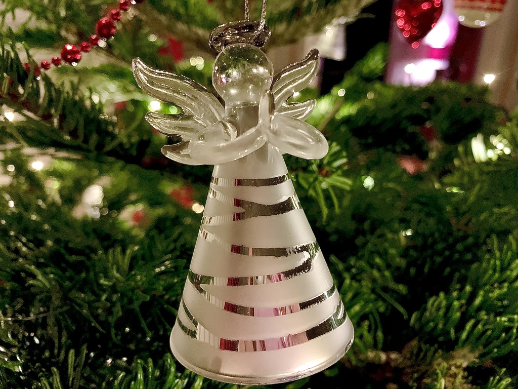 Christmas Angel by carole_sandford