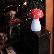 9th Dec 2020 - Christmas Mushroom