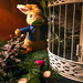 Peter Rabbit in the dining room by jeff