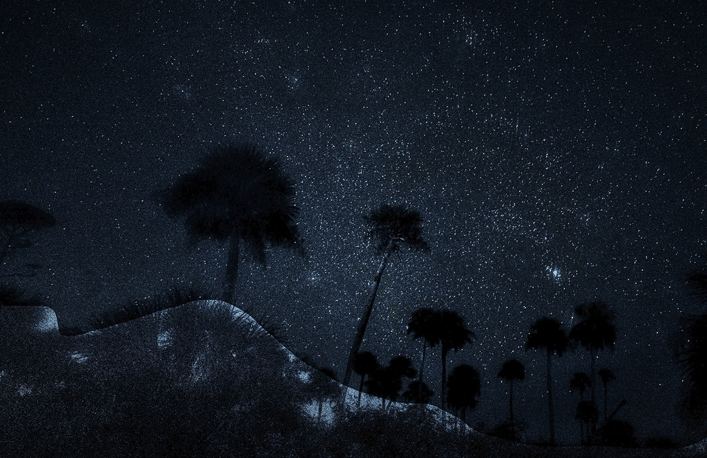 Sand Dune Night by k9photo