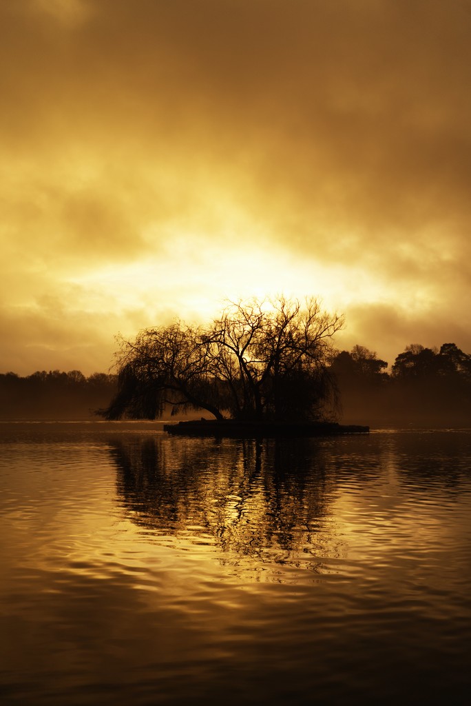 Tobacco skies ii by moonbi