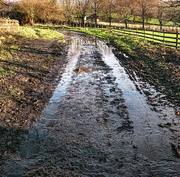 11th Dec 2020 - Mud Mud and more mud