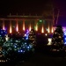 Christmas light Trail by carole_sandford
