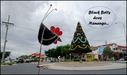11th Dec 2020 - Black betty in Nanango town