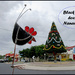 Black betty in Nanango town by kerenmcsweeney
