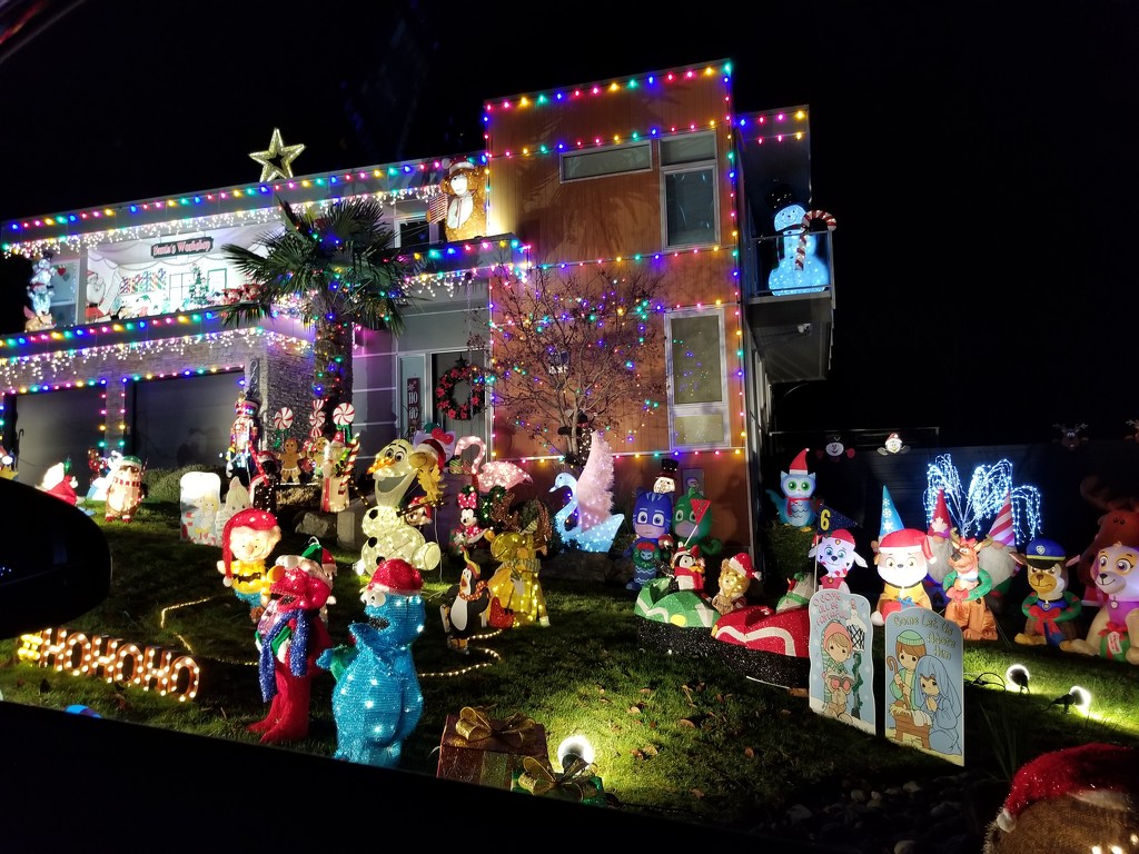 Neighbourhood Christmas Lights by kimmer50