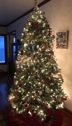 9th Dec 2020 - Christmas tree