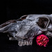 skull by aecasey