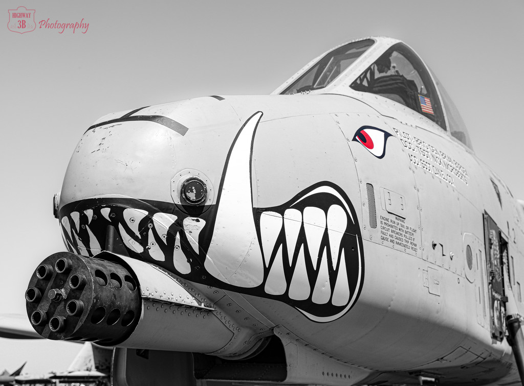 Red-eyed A-10 by jawere