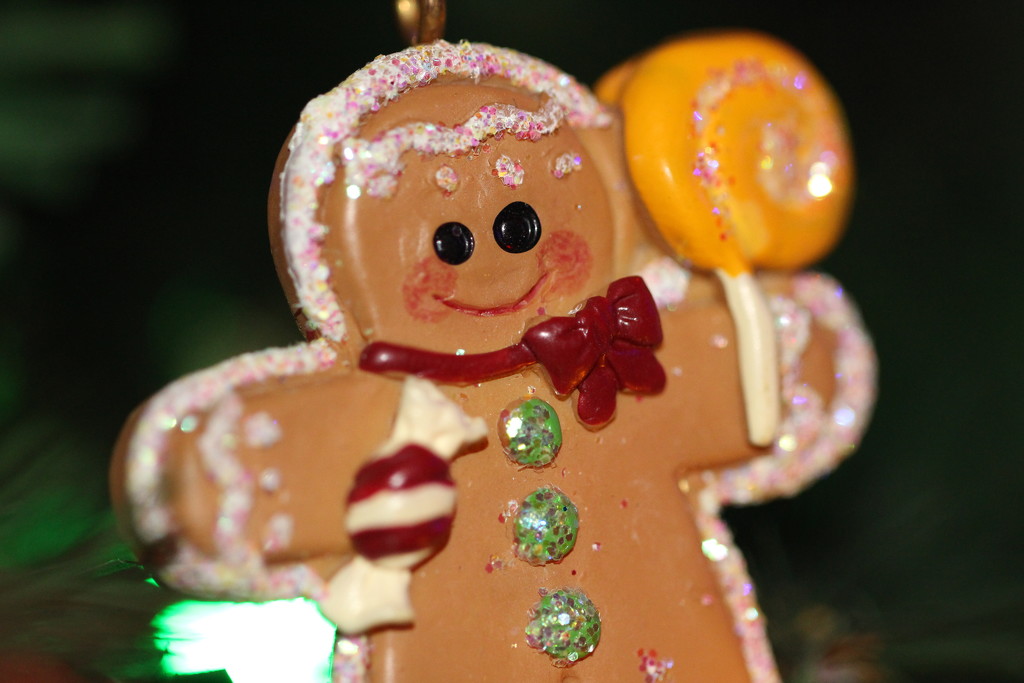 Gingerbread ornament by jb030958